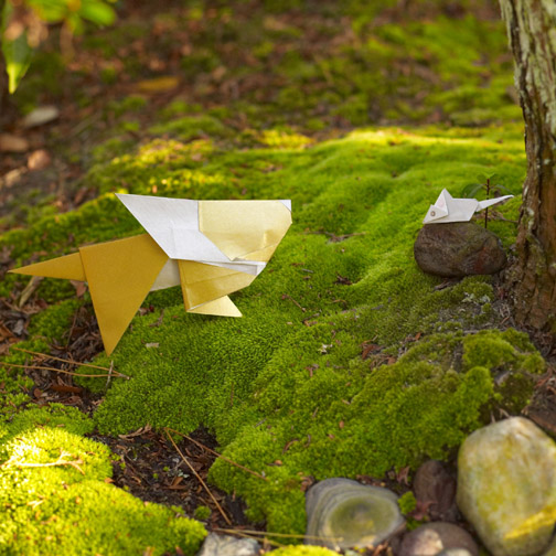 ���C�I���Ƃ˂���