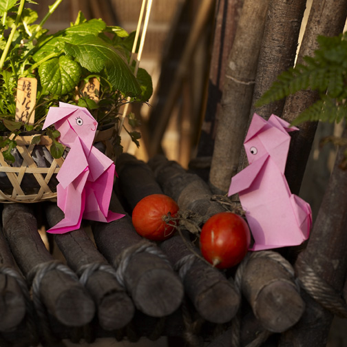 �������̎��n��