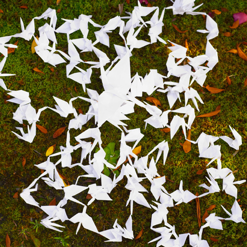 �S��(�A�߁j