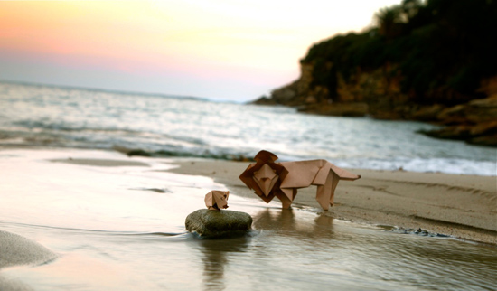 ���C�I���ƃJ�s�o��