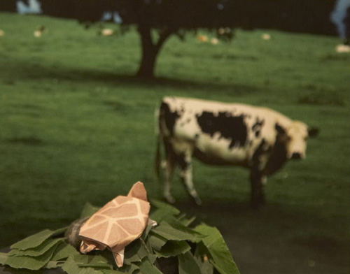 �΋T�@�A�C�������h�̗[���