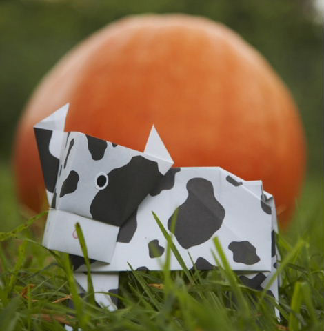 �e�� ���̃p���v�L���[�Ă��̒��� 